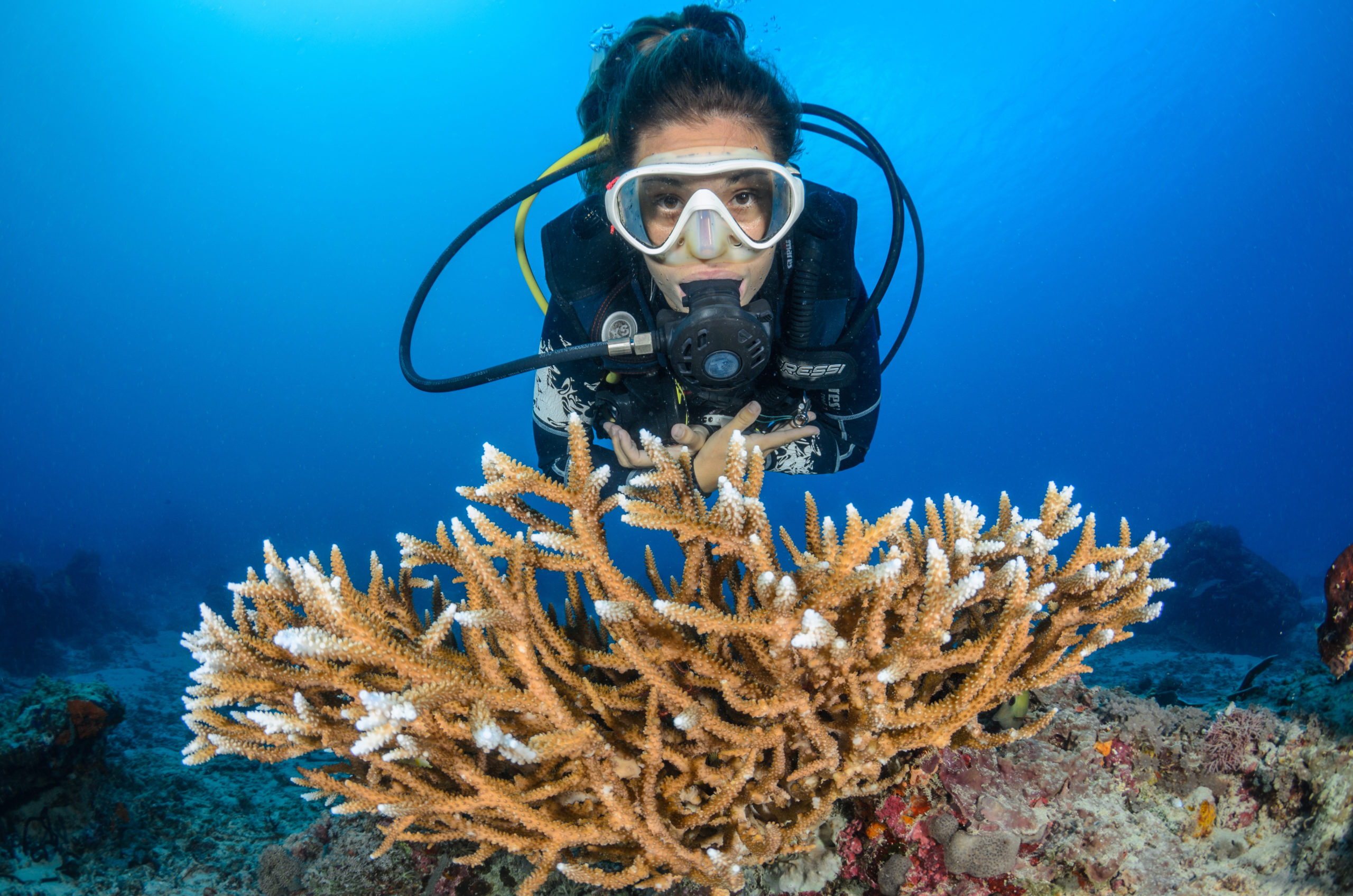 Scuba Diving Tips & Tricks From Instructor Steph (2024) - 4n46hks