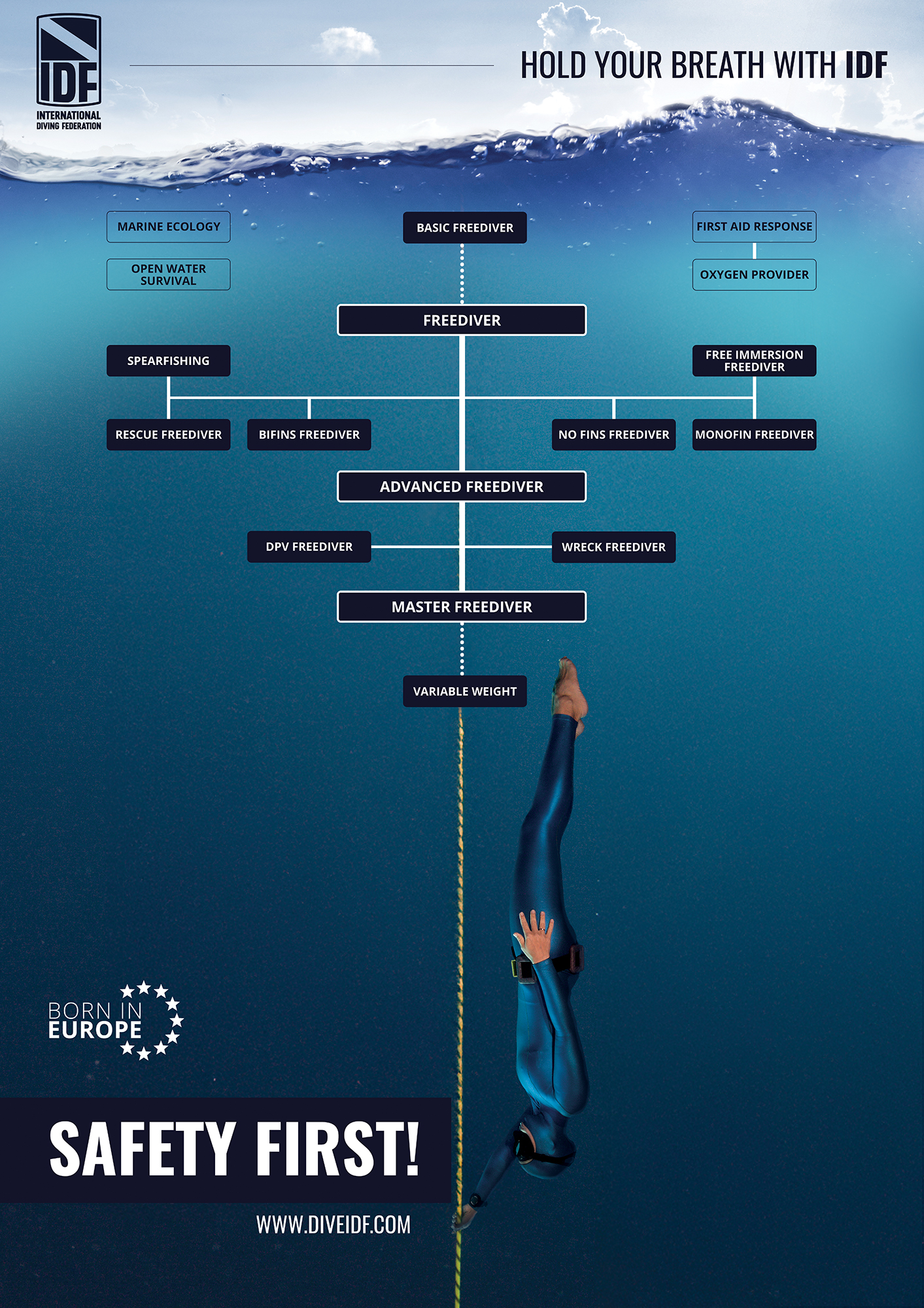 Diagram szkoleń freedivingowych w IDF